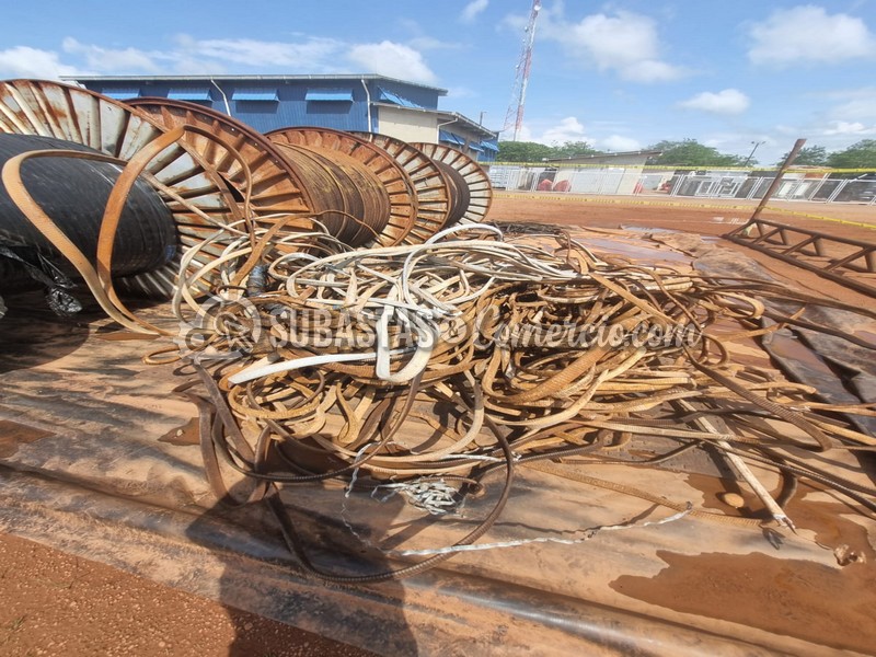 WhatsApp Image 2025-11-07 at 12.53.59 PM (1).jpg